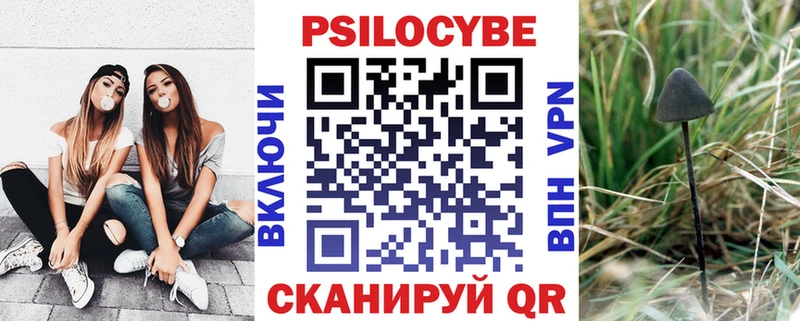 Галлюциногенные грибы Psilocybe  Озёрск 